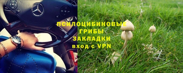 крисы Абинск