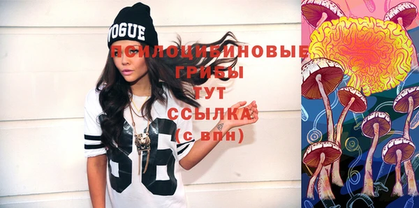 тгк Абаза