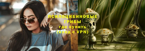 не бодяженный Новодвинск