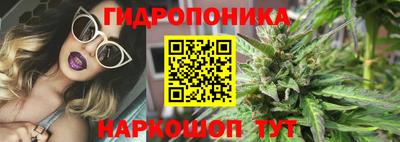 гашик Тулун