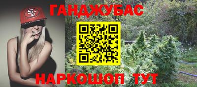 гашик Тулун