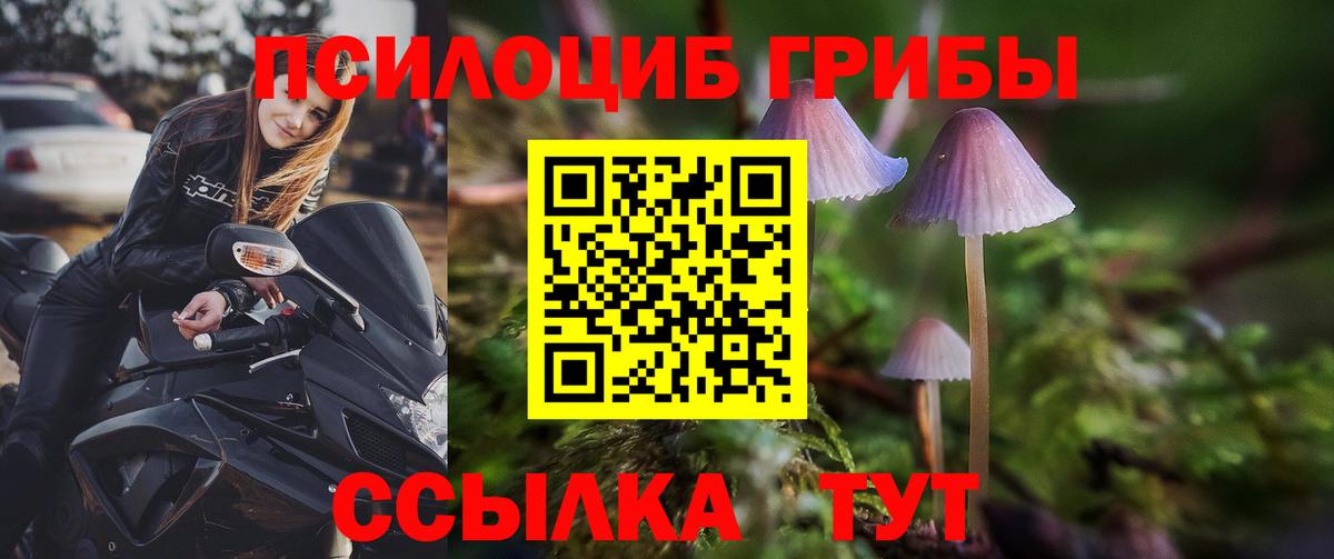 Галлюциногенные грибы Cubensis Черногорск